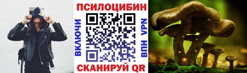 Псилоцибиновые грибы Psilocybine cubensis  Нижняя Тура 