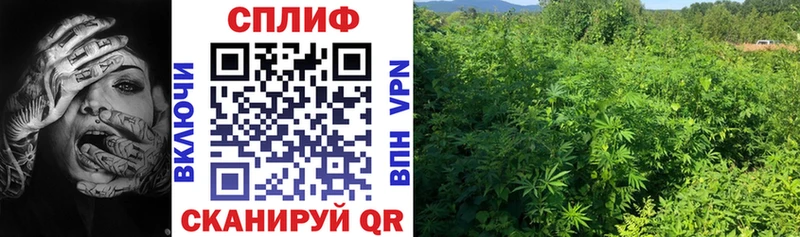 Марихуана SATIVA & INDICA  mega вход  Нижняя Тура 
